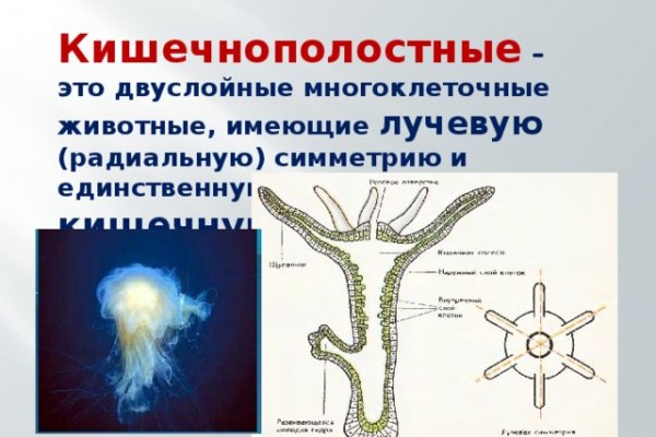 Кракен мефедрон