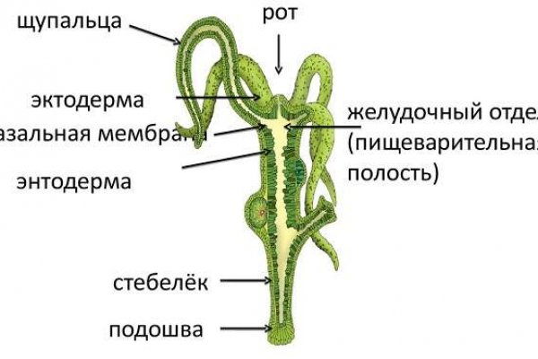 Кракен площадка вход