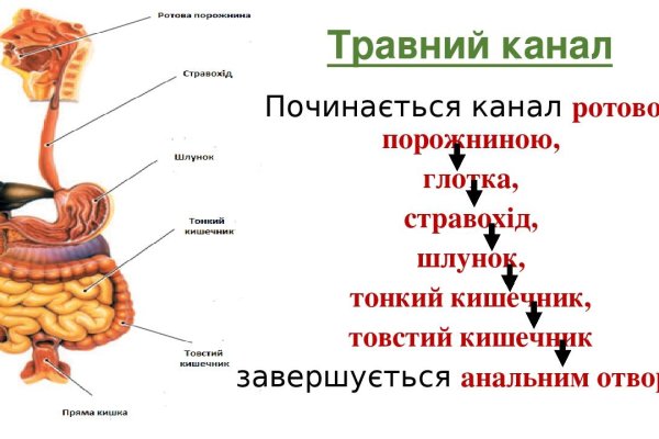 Модератор на кракене